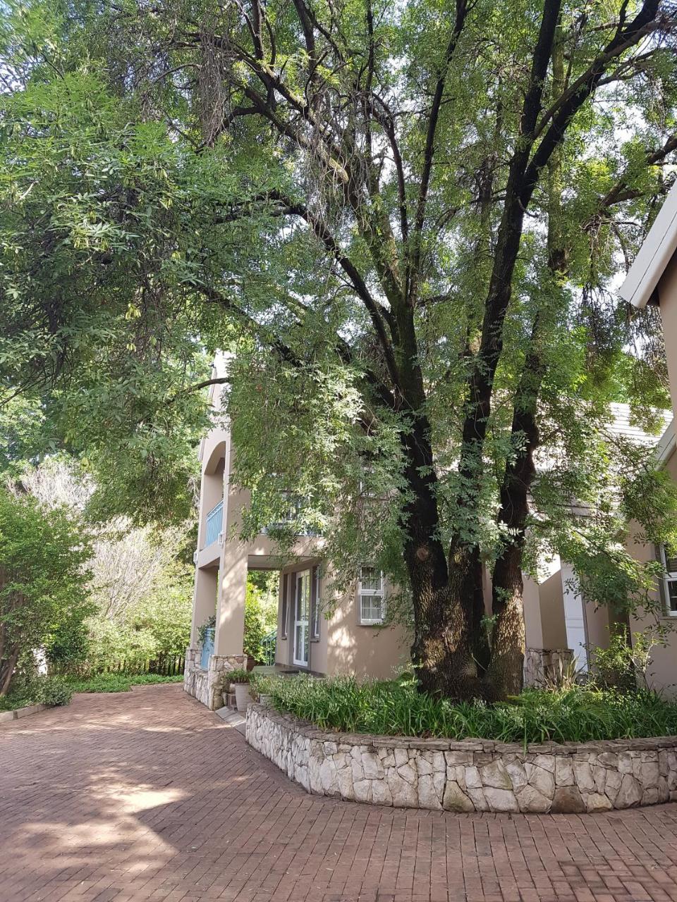 Sugarbush Accommodation Vereeniging Extérieur photo